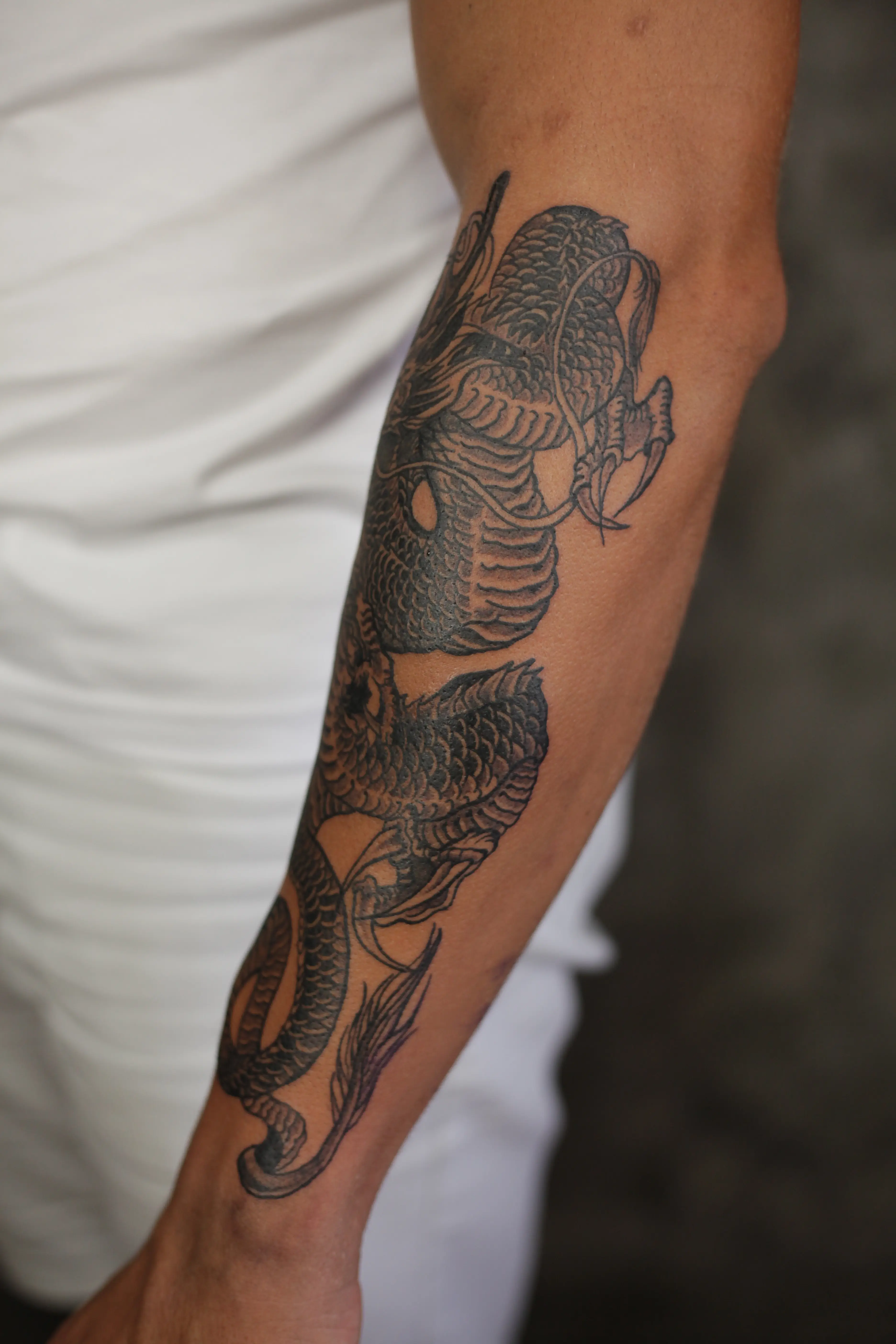 Black and grey zmaj - detalj tetovaže 2